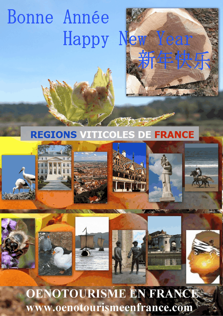 bonne année oenotourisme en  france regions viticoles de france vin de france