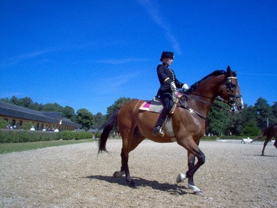 cadre-noir-cheval-saumur