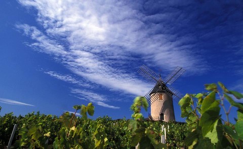 moulin-vignoble