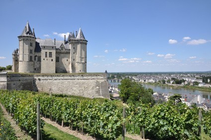 vin-val-de-loire-chateau