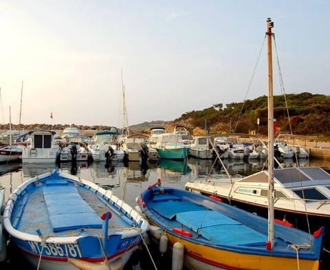 collioure-anchois-pointu