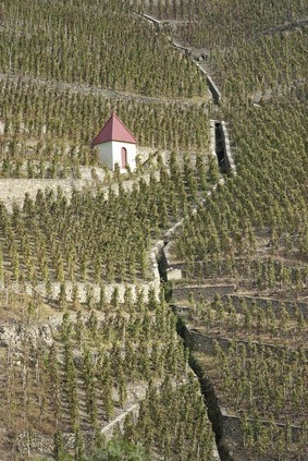 valle-rhone-septentrionales